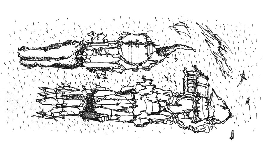 Image description
