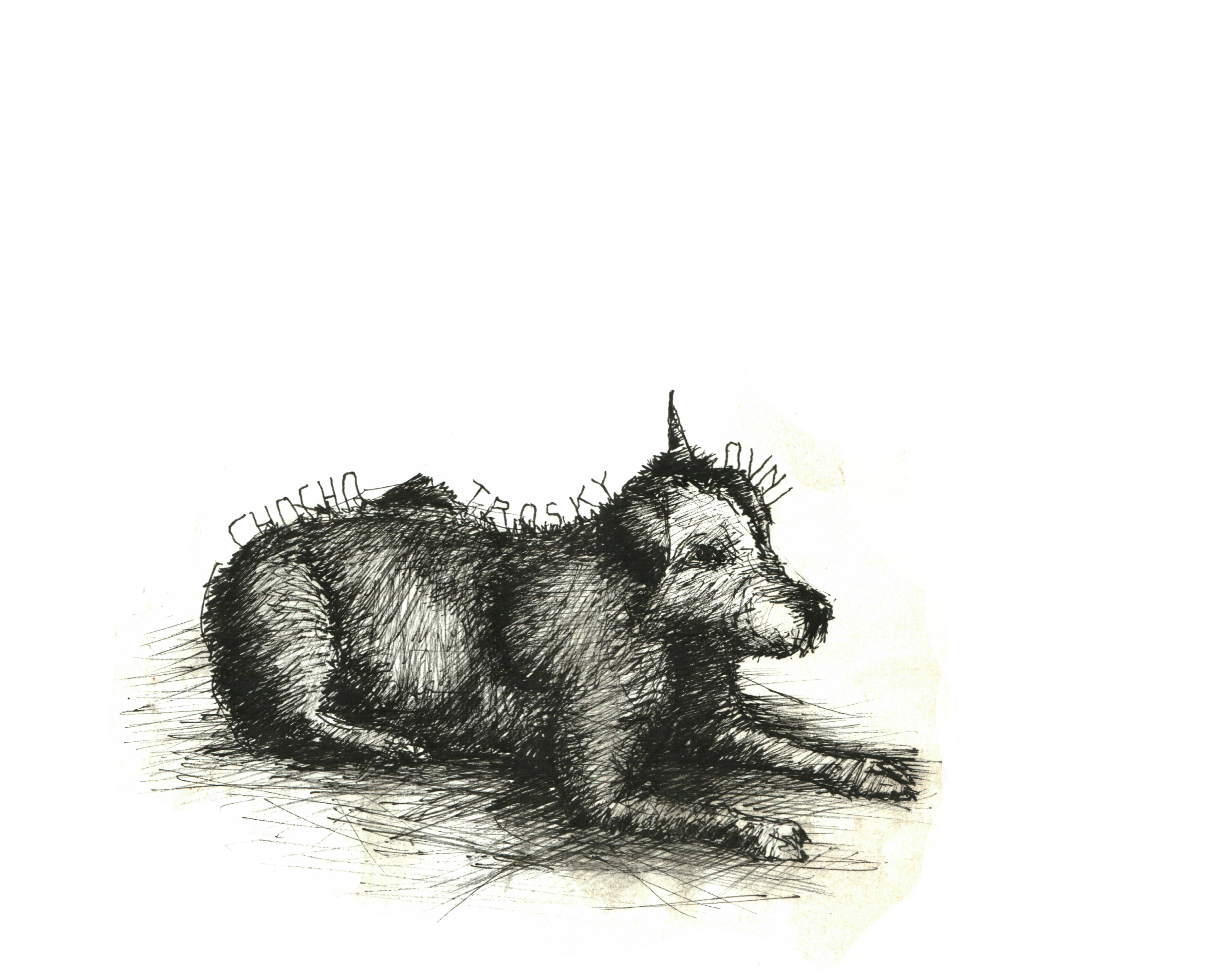 Image description