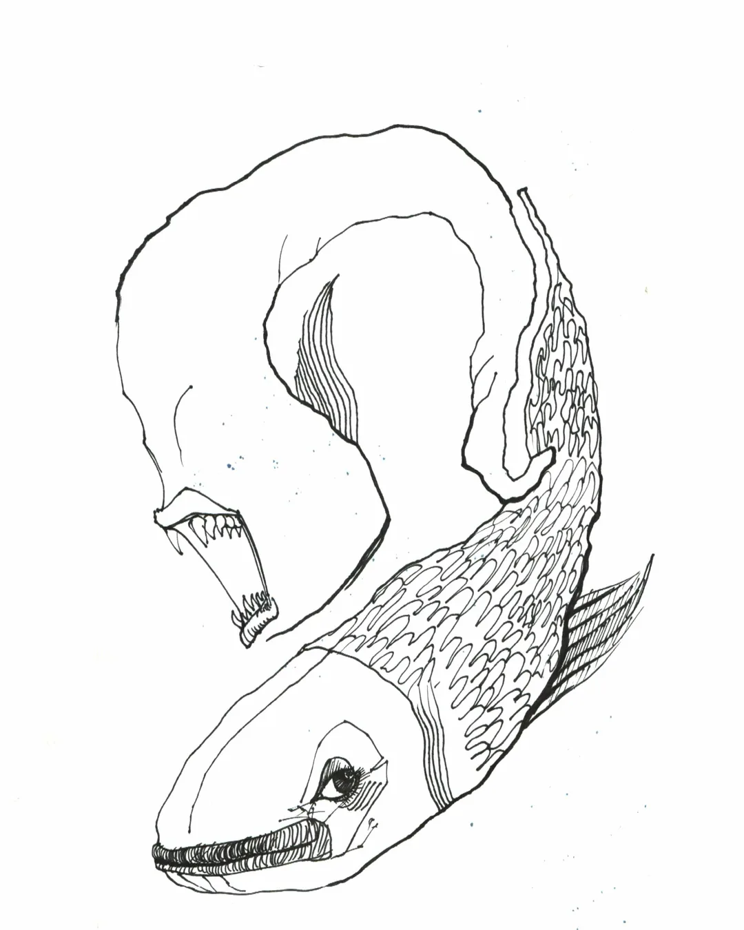 Image description