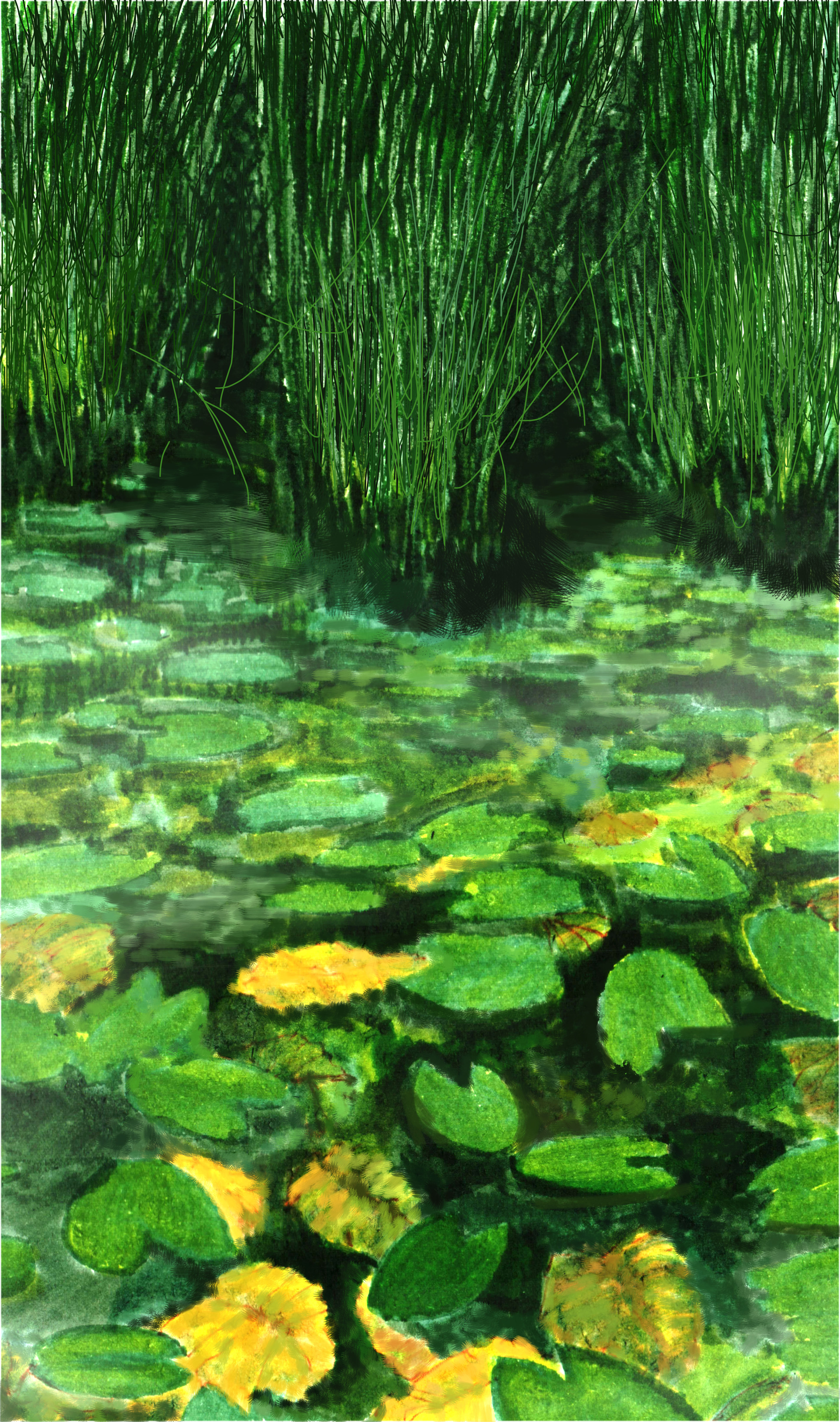 Image description