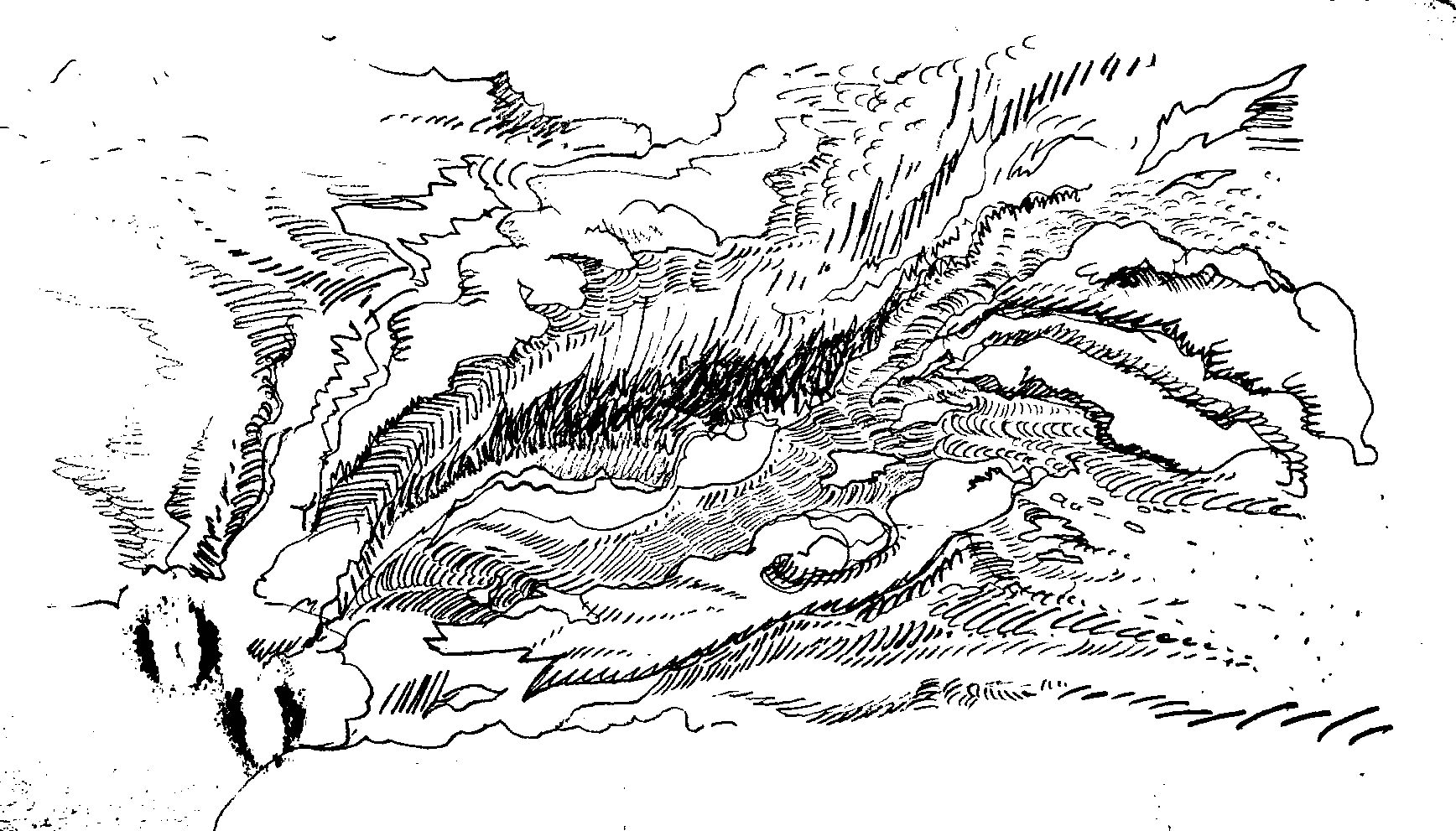 Image description